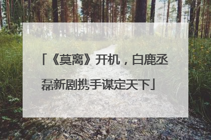 《莫离》开机，白鹿丞磊新剧携手谋定天下