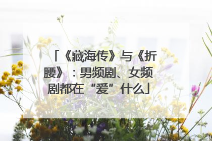 《藏海传》与《折腰》：男频剧、女频剧都在“爱”什么