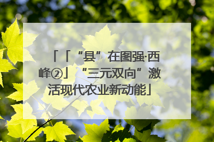 「“县”在图强·西峰②」“三元双向”激活现代农业新动能