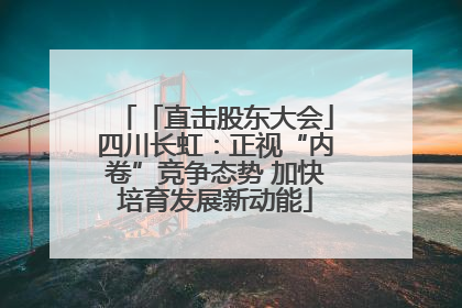 「直击股东大会」四川长虹：正视“内卷”竞争态势 加快培育发展新动能