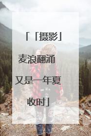 「摄影」麦浪翻涌 又是一年夏收时