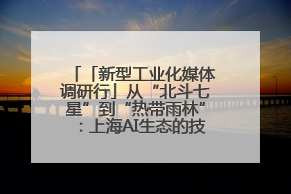 「新型工业化媒体调研行」从“北斗七星”到“热带雨林”：上海AI生态的技术商业共生密码