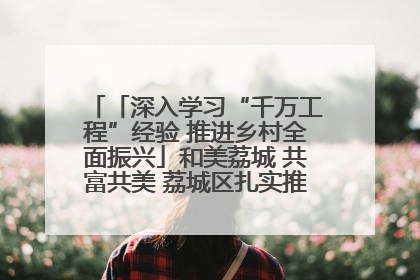 「深入学习“千万工程”经验 推进乡村全面振兴」和美荔城 共富共美 荔城区扎实推进乡村振兴工作