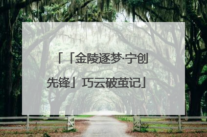 「金陵逐梦·宁创先锋」巧云破茧记