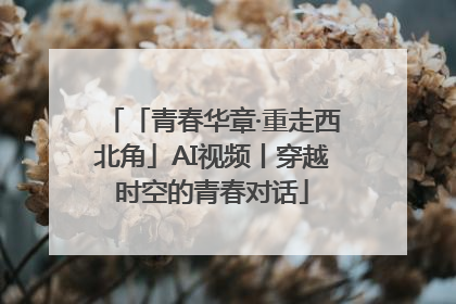 「青春华章·重走西北角」AI视频丨穿越时空的青春对话