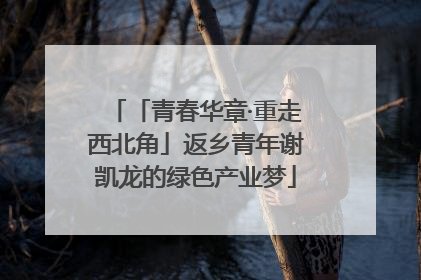 「青春华章·重走西北角」返乡青年谢凯龙的绿色产业梦
