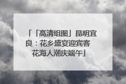 「高清组图」昆明宜良：花乡盛宴迎宾客 花海人潮庆端午
