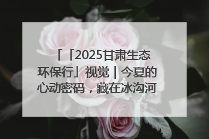 「2025甘肃生态环保行」视觉｜今夏的心动密码，藏在冰沟河的潋滟波光里