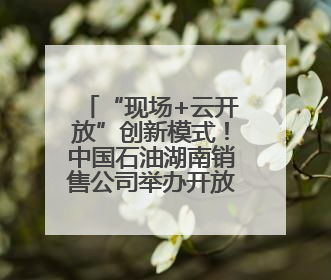 “现场+云开放”创新模式！中国石油湖南销售公司举办开放日活动