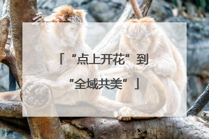 “点上开花”到“全域共美”