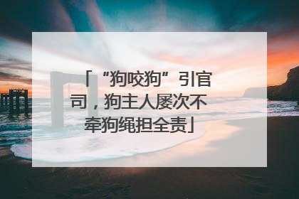 “狗咬狗”引官司，狗主人屡次不牵狗绳担全责