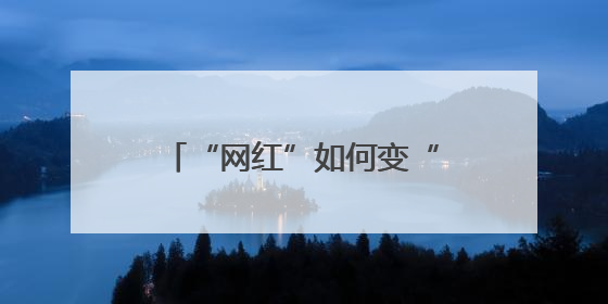 “网红”如何变“长红”——“一朵花”激活城市文化基因的破题之路