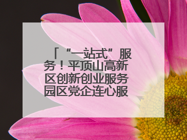 “一站式”服务！平顶山高新区创新创业服务园区党企连心服务中心揭牌
