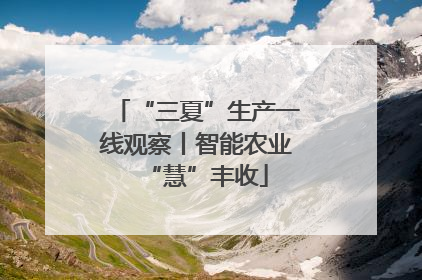 “三夏”生产一线观察丨智能农业“慧”丰收