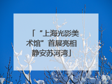 “上海光影美术馆”首展亮相静安苏河湾