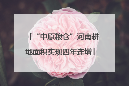 “中原粮仓”河南耕地面积实现四年连增