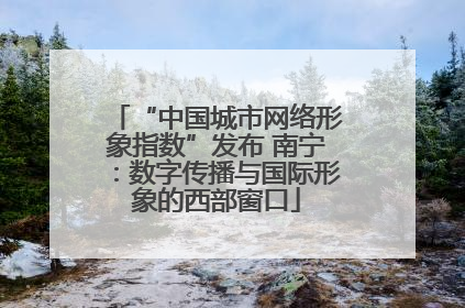 “中国城市网络形象指数”发布 南宁：数字传播与国际形象的西部窗口