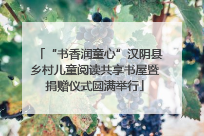 “书香润童心”汉阴县乡村儿童阅读共享书屋暨捐赠仪式圆满举行