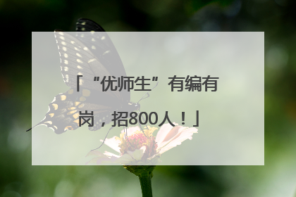 “优师生”有编有岗，招800人！