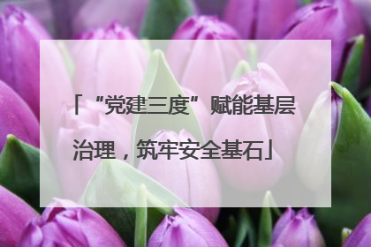 “党建三度”赋能基层治理，筑牢安全基石