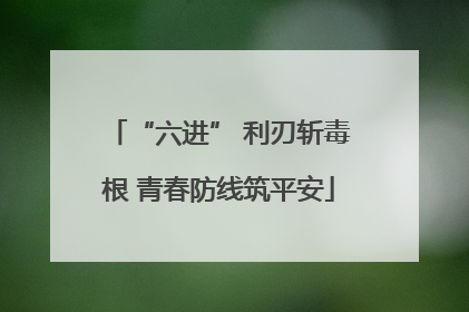 “六进” 利刃斩毒根 青春防线筑平安