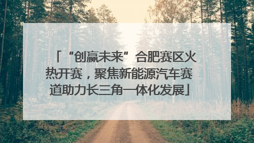 “创赢未来”合肥赛区火热开赛，聚焦新能源汽车赛道助力长三角一体化发展