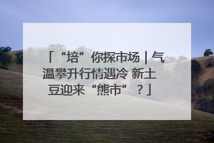 “培”你探市场｜气温攀升行情遇冷 新土豆迎来“熊市”？