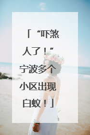 “吓煞人了！”宁波多个小区出现白蚁！