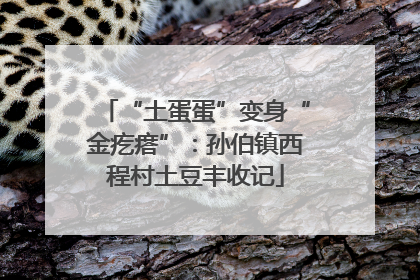 “土蛋蛋”变身“金疙瘩”：孙伯镇西程村土豆丰收记