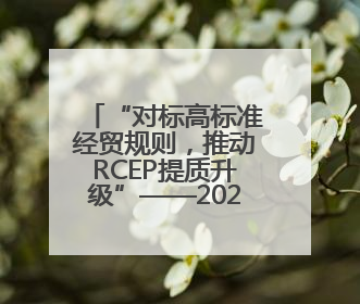“对标高标准经贸规则，推动RCEP提质升级”——2025RCEP区域发展媒体智库论坛举行专题对话