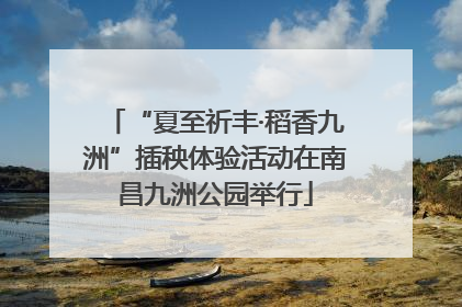 “夏至祈丰·稻香九洲”插秧体验活动在南昌九洲公园举行