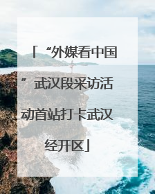 “外媒看中国”武汉段采访活动首站打卡武汉经开区