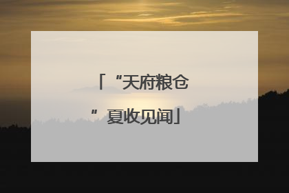 “天府粮仓”夏收见闻