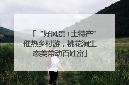 “好风景+土特产”催热乡村游，桃花涧生态美带动百姓富