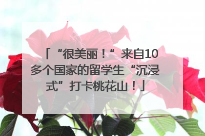 “很美丽！”来自10多个国家的留学生“沉浸式”打卡桃花山！