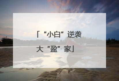 “小白”逆袭大“盈”家