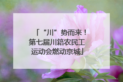“川”势而来！第七届川籍农民工运动会燃动京城