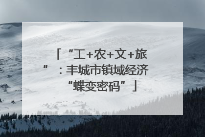 “工+农+文+旅”：丰城市镇域经济“蝶变密码”