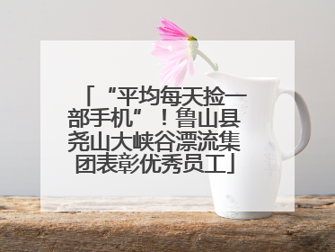 “平均每天捡一部手机”！鲁山县尧山大峡谷漂流集团表彰优秀员工