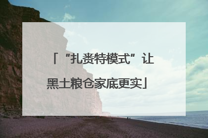 “扎赉特模式”让黑土粮仓家底更实