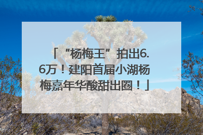 “杨梅王”拍出6.6万！建阳首届小湖杨梅嘉年华酸甜出圈！