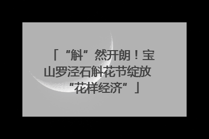 “斛”然开朗！宝山罗泾石斛花节绽放“花样经济”