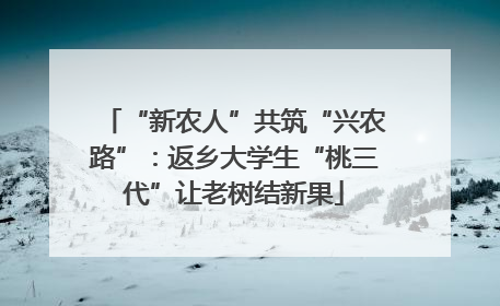 “新农人”共筑“兴农路”：返乡大学生“桃三代”让老树结新果