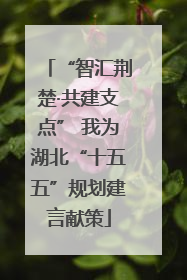 “智汇荆楚·共建支点” 我为湖北“十五五”规划建言献策