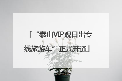 “泰山VIP观日出专线旅游车”正式开通