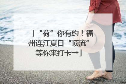 “荷”你有约！福州连江夏日“顶流”等你来打卡→