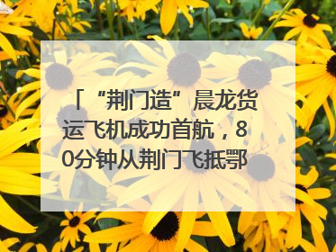 “荆门造”晨龙货运飞机成功首航，80分钟从荆门飞抵鄂州花湖机场