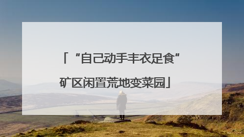 “自己动手丰衣足食”矿区闲置荒地变菜园