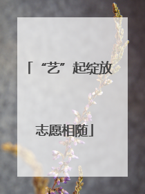 “艺”起绽放 志愿相随
