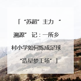 “苏超”主力 “溯源” 记：一所乡村小学如何炼成足球 “造星梦工场”
